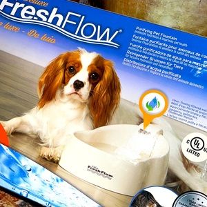 💦 🐕 or 🐈 💦•  🐾 Petmate x Lux Water Vibes 🐾💎